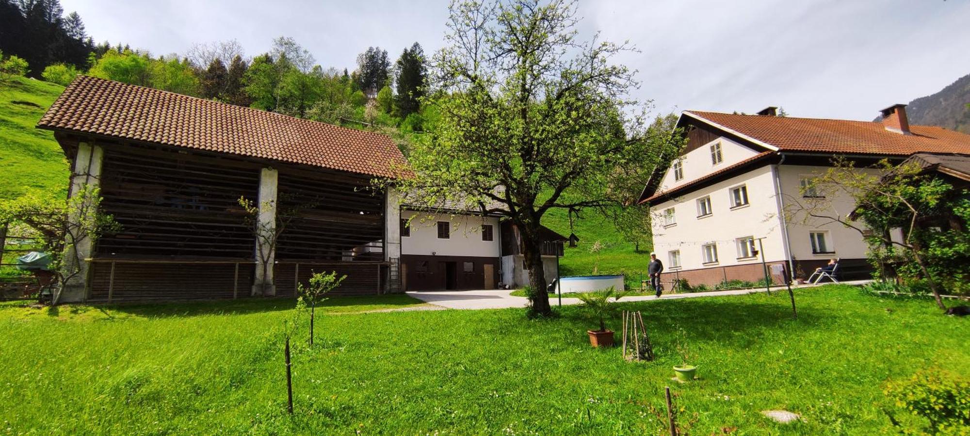 Domacija Markc Zelezniki Exterior photo